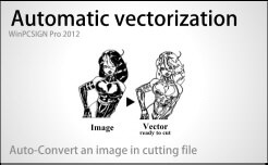 automatic vectorization