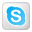 Professional support by Skype