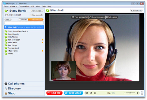 Professionnal Support by Skype